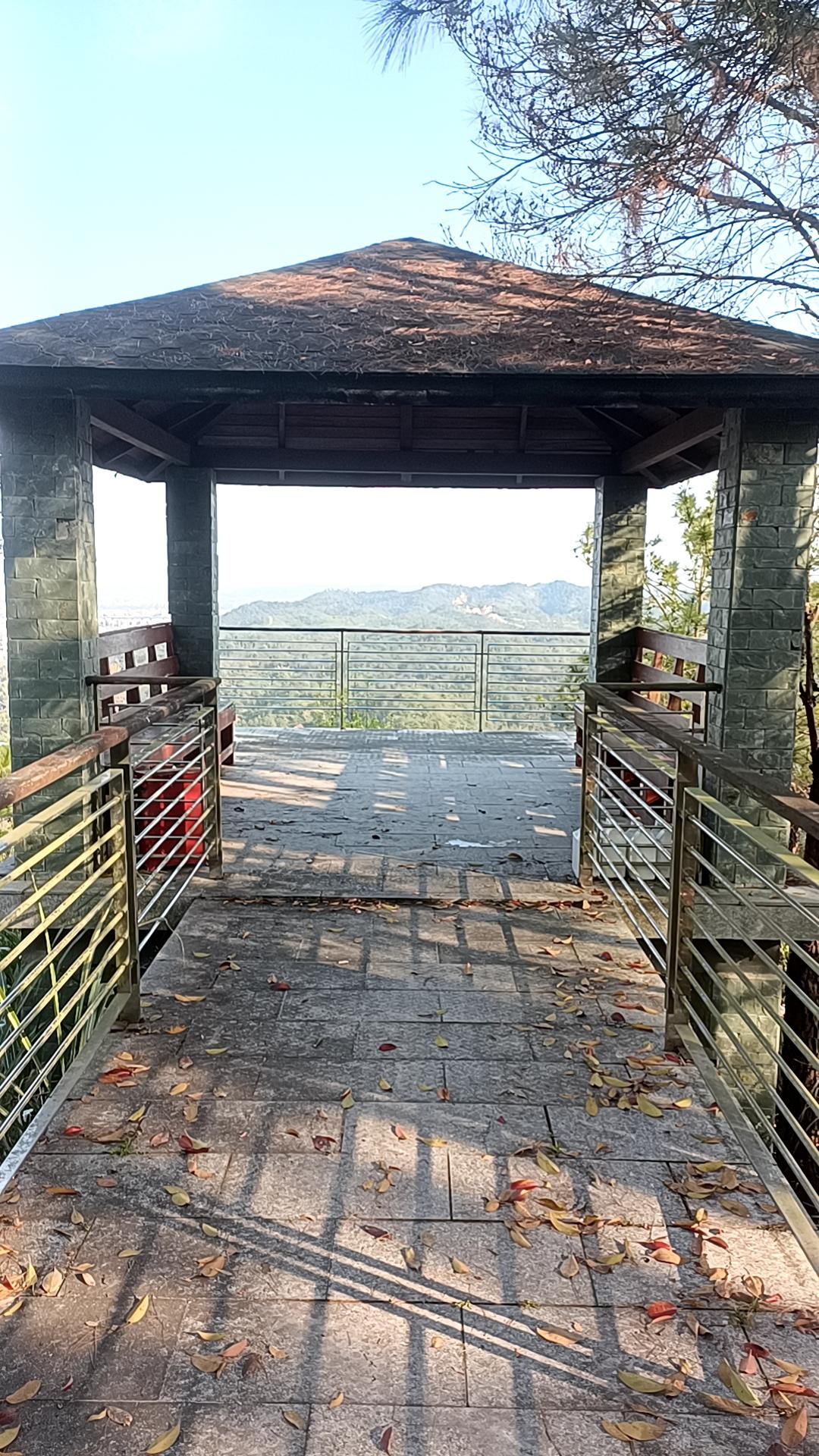 极目远眺，登高望远，人生自由自在。[大笑]