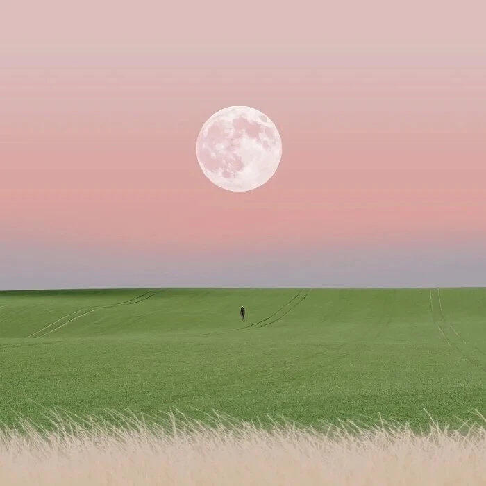 有些人平庸，有些人绚烂；有些人朴实无华，有些人光芒万丈；有些人金玉其外而败絮其中