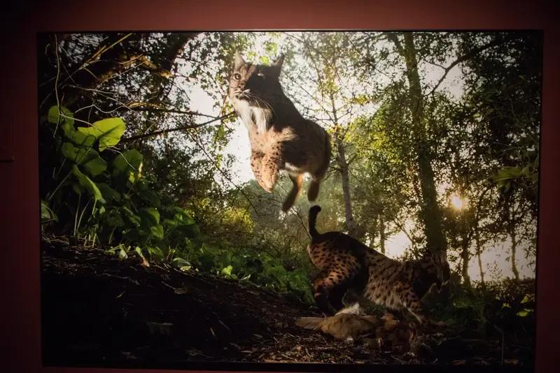 是掠夺。当今世界格局遵循丛林法则，弱肉强食，美国在国际舞台上为所欲为、蛮横霸道，