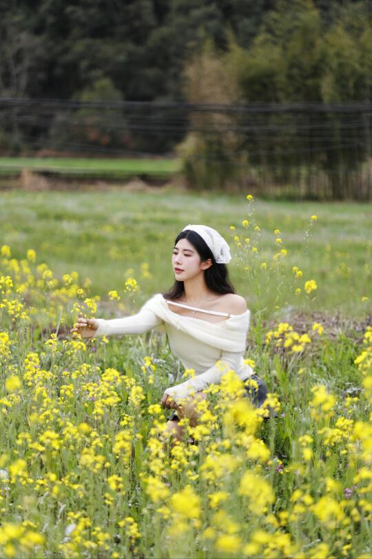 记忆里的小黄花