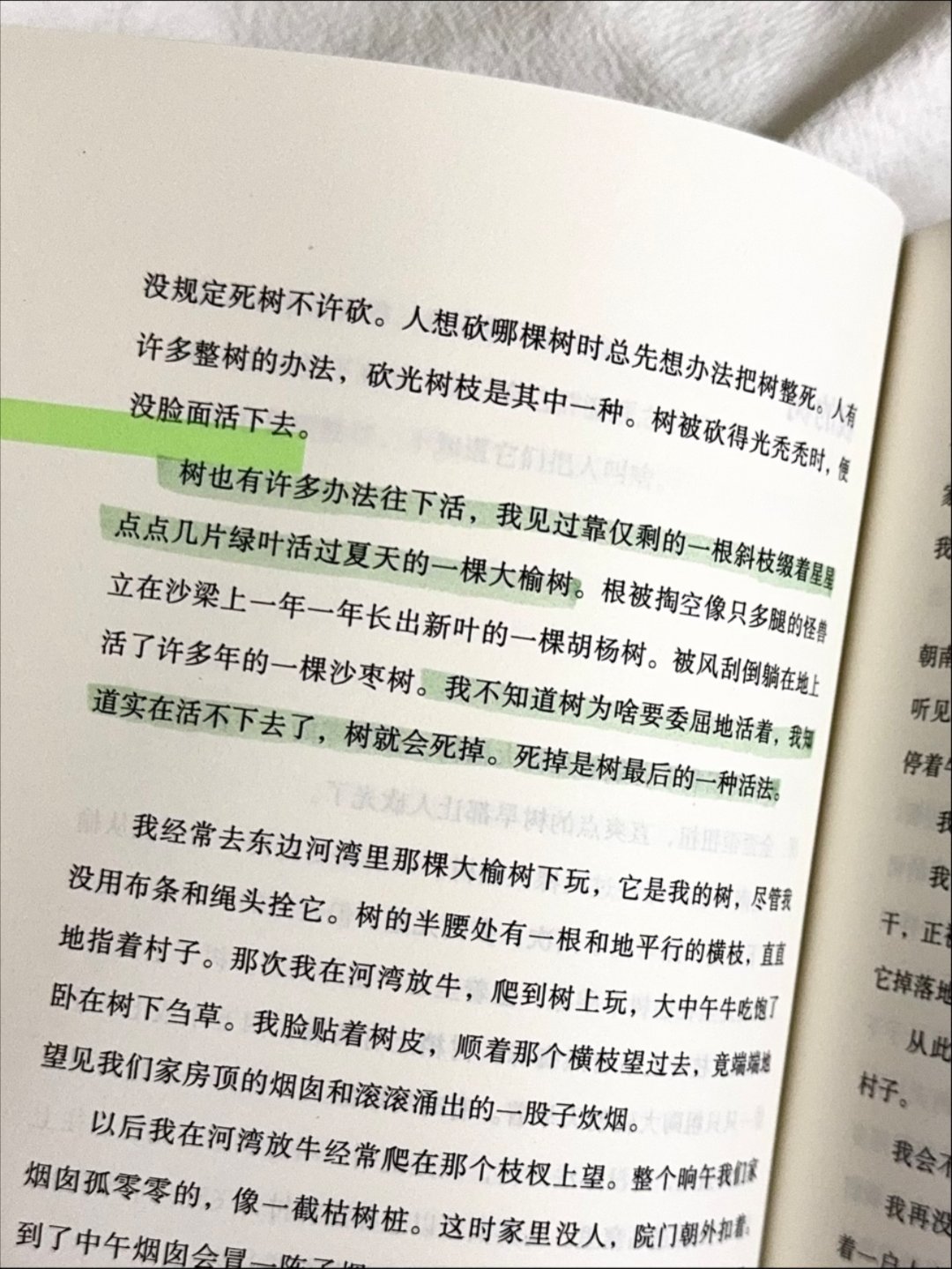 在每一场风中，把自己扶直。 