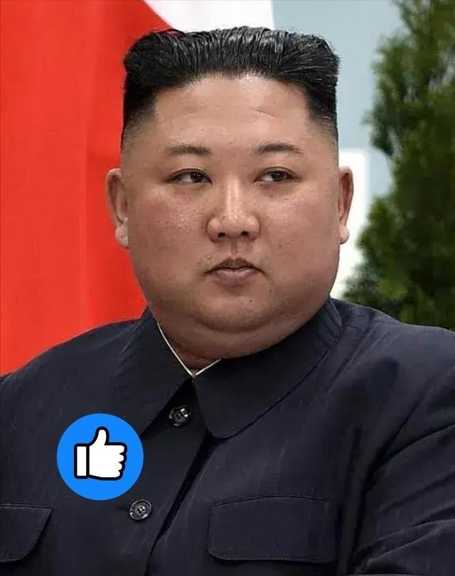 朝鲜正式宣布朝鲜9月9日宣布，其导弹总局与化学材料研究院于9月8日进行了利用碳纤