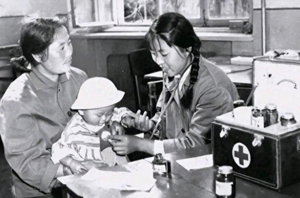 1952 年，苏联援助了我国 20 克极为珍贵的蛔蒿种子，它们被分为 4 份，在