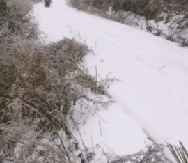 你去哪里 还回来过年吗