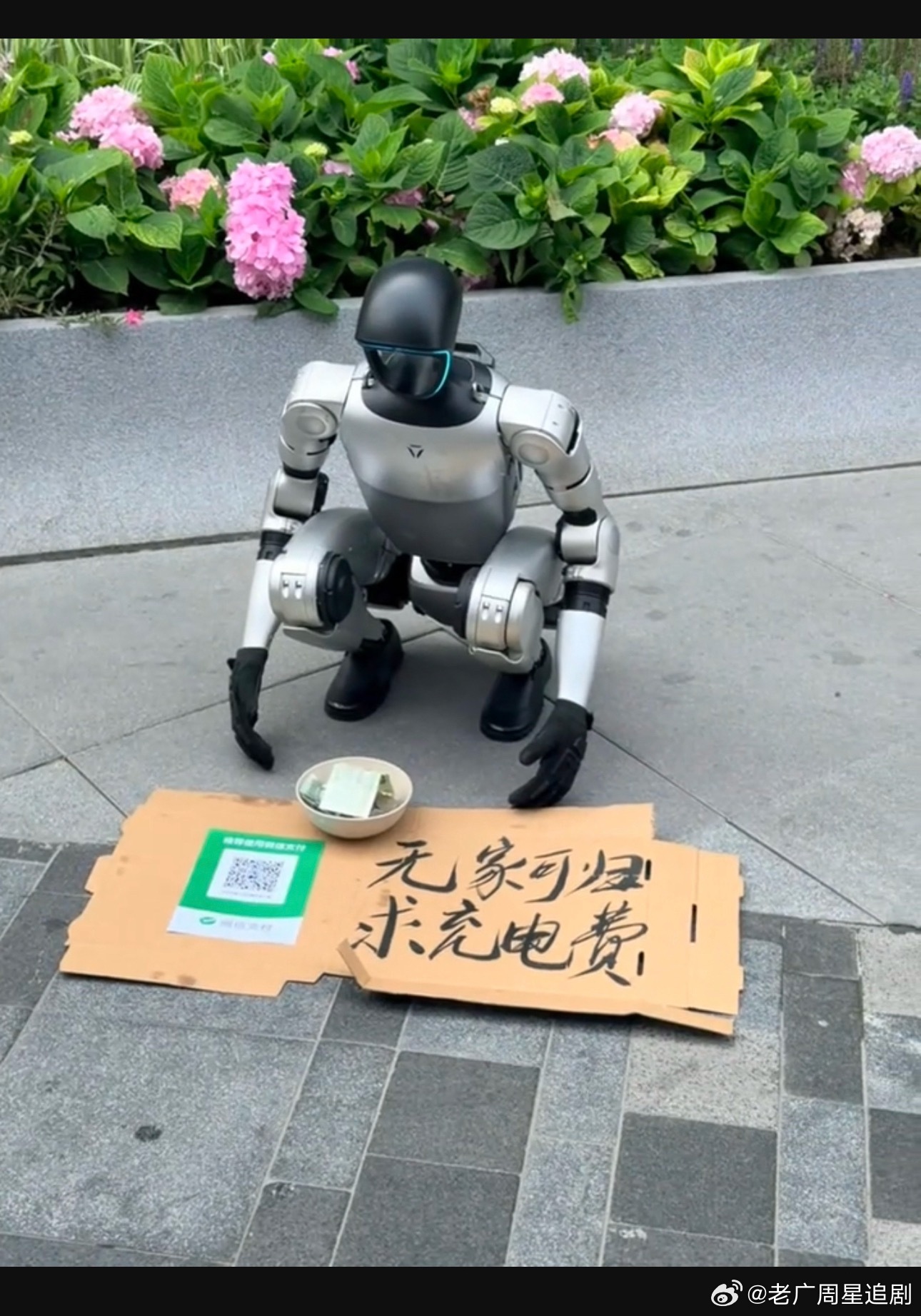 万万没想到丐帮这个行业能被机器人取代