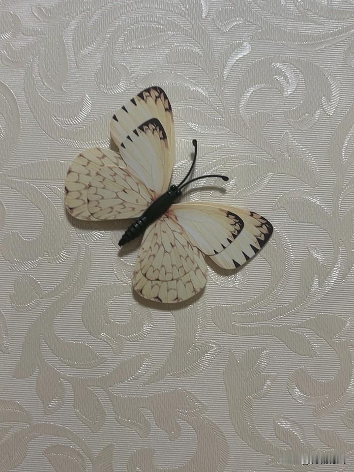 真正的衰老，从来不是白发和皱纹

满脸皱纹、满头白发、步履蹒跚，这是每个人必经的