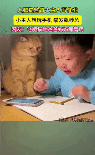 这个大黄猫太厉害了，他会严肃监督小男孩写作业，小孩写累了，想玩一会手机，刚拿起手