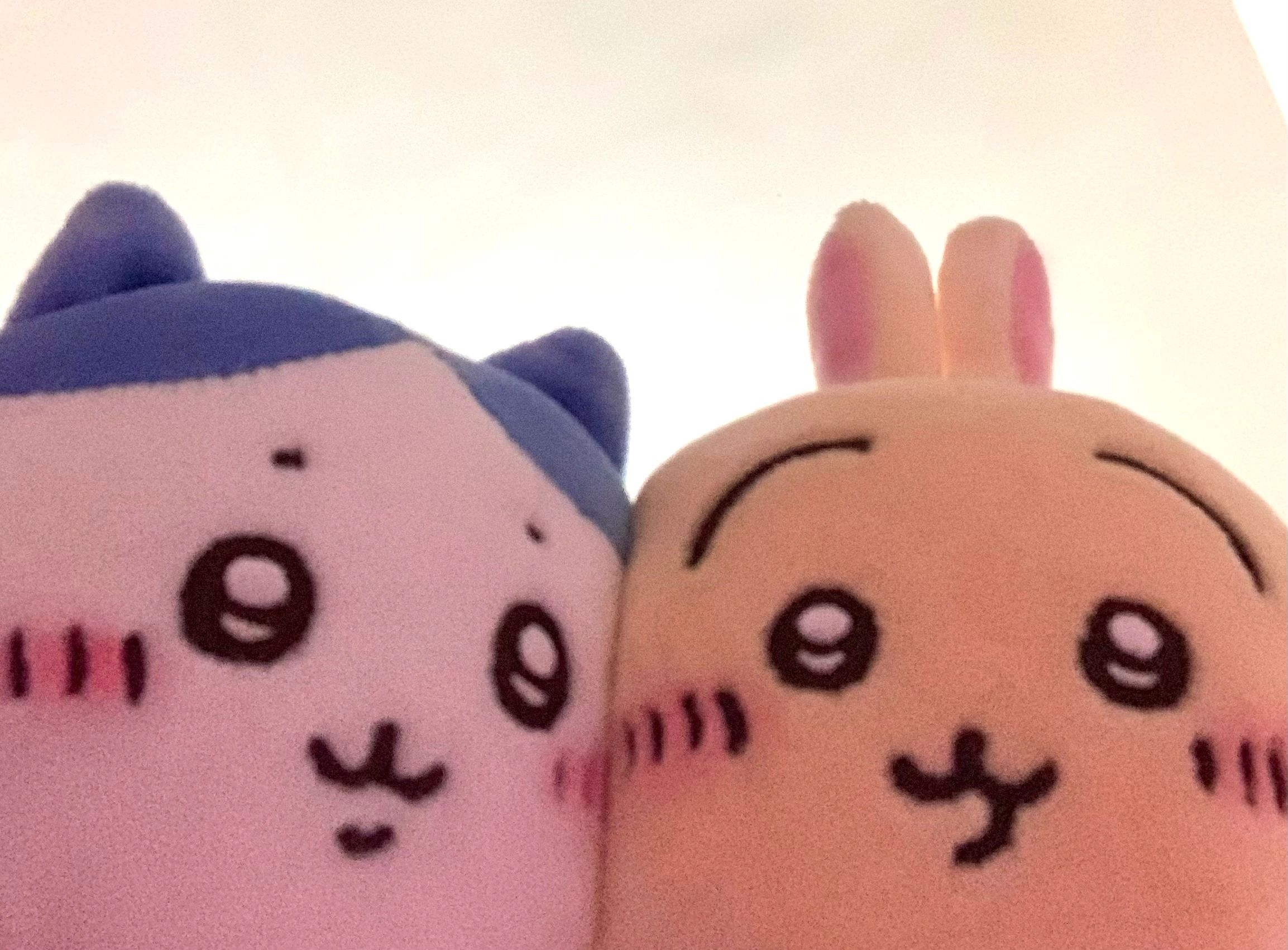 𝐂𝐡𝐢𝐢𝐤𝐚𝐰𝐚🍧 