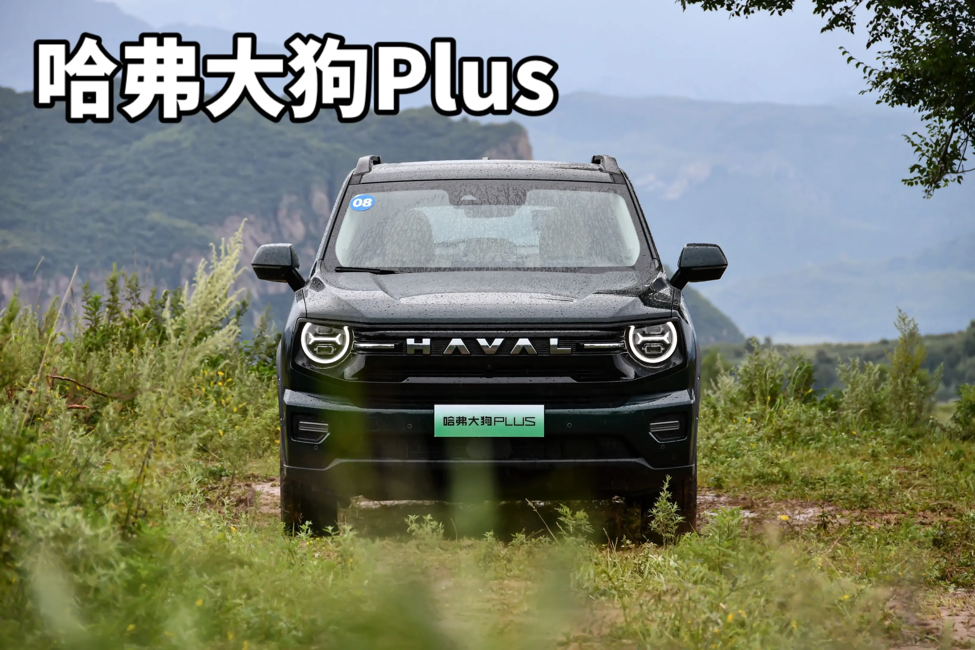 大狗Plus什么颜色最好看？