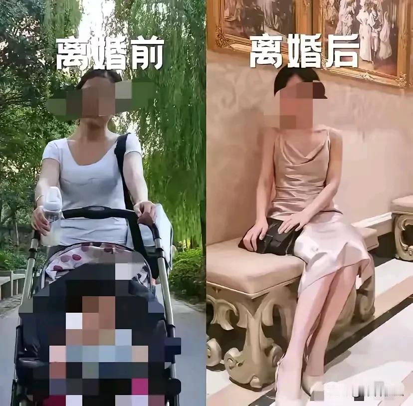 毒鸡汤养成计划