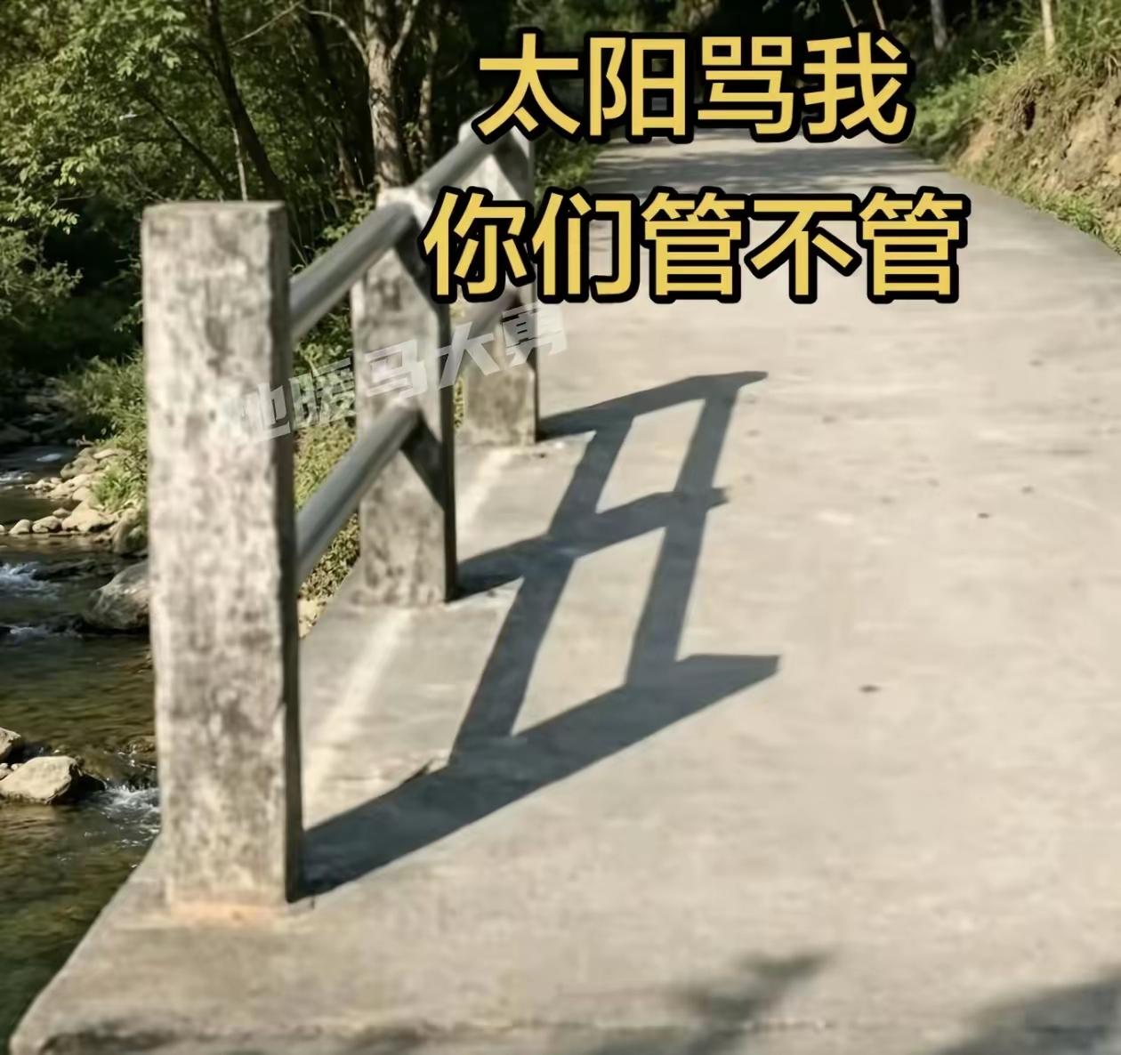 这个太阳也太调皮了。
还敢骂我丑……