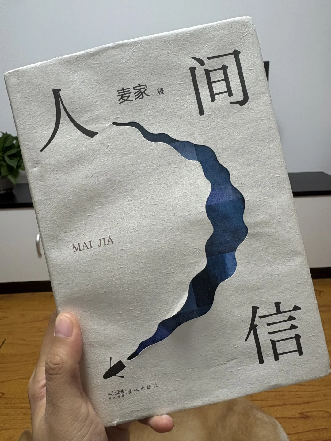 《人间信》避雷：大可不必❗️
