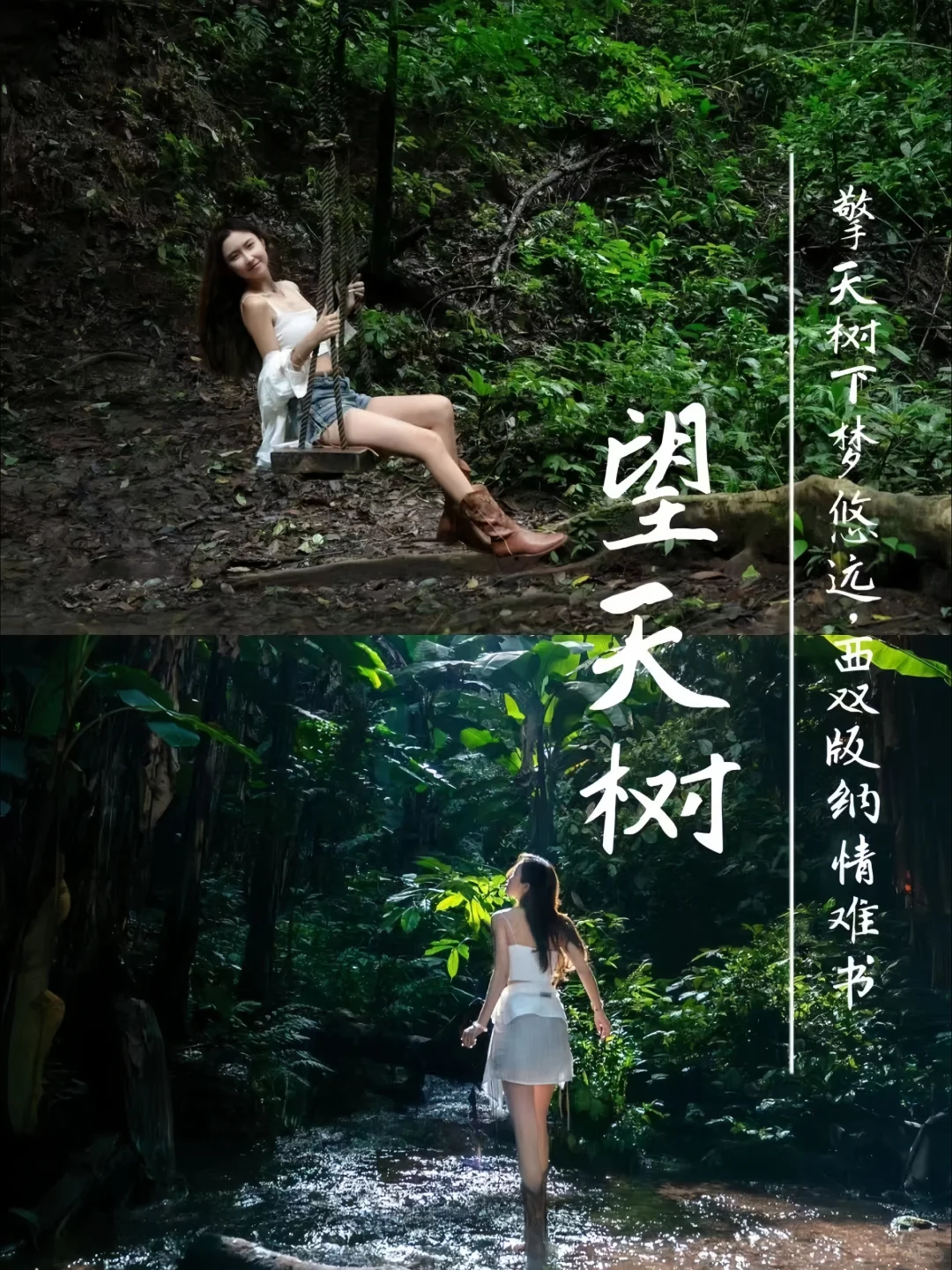 中国🇨🇳西南边陲的热带雨林