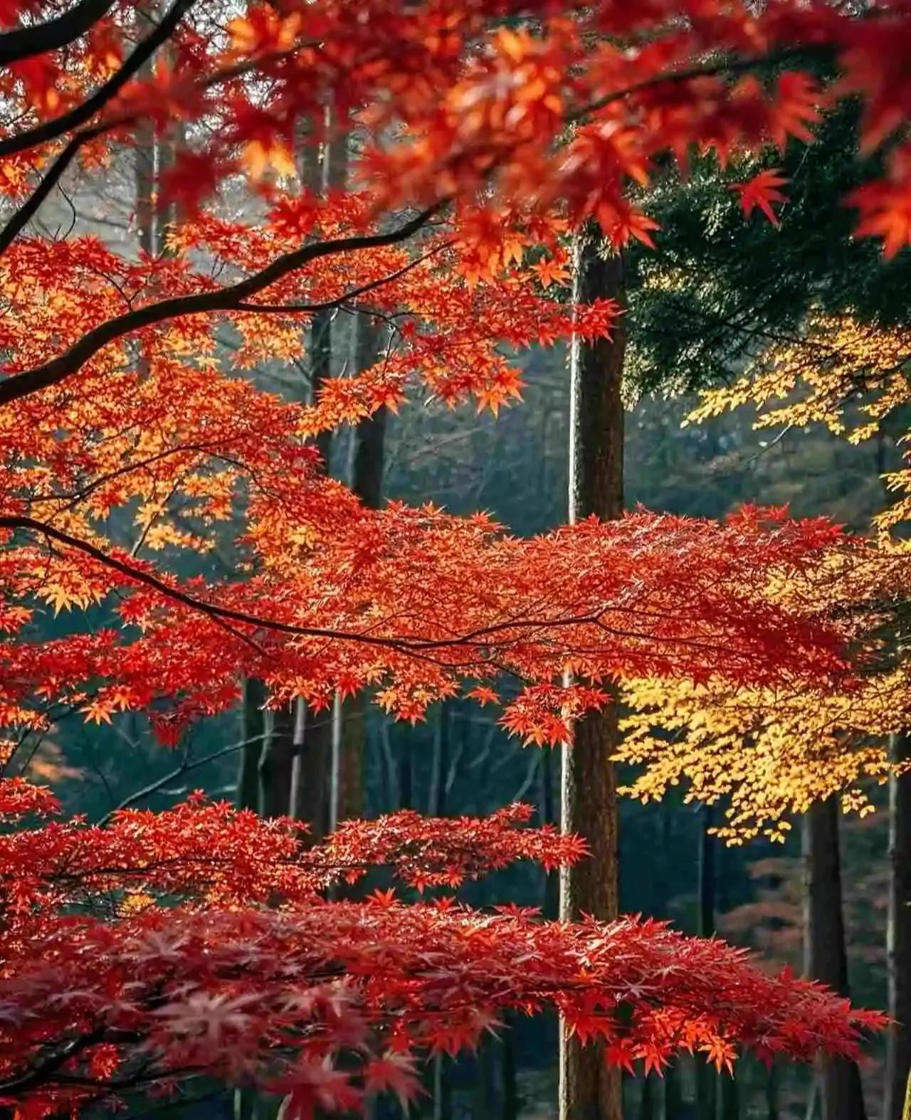 记录生活点滴美好