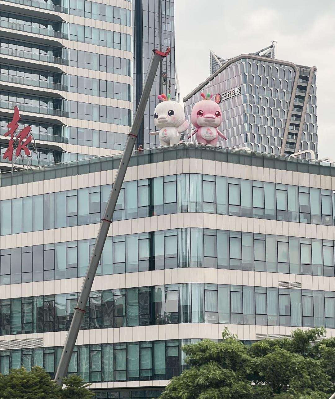 台风来了，两只吉祥物要先下架了
广州虽然五停了，但为了抵御台风，广报上的两只“高