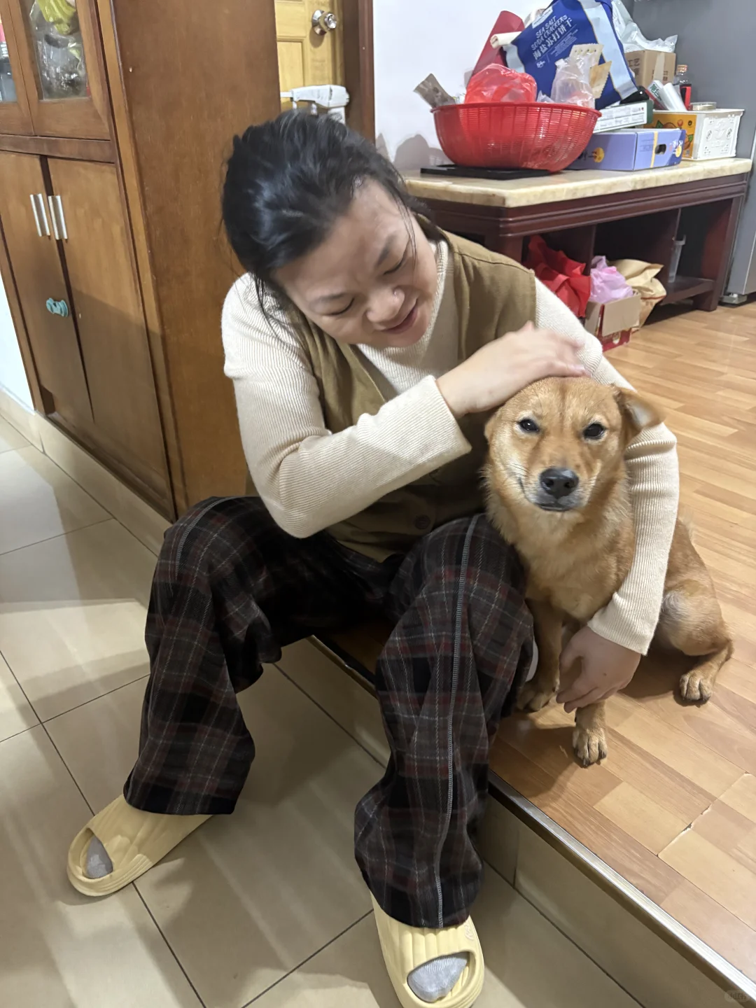 狗：你只管带我回家，剩下的交给我。