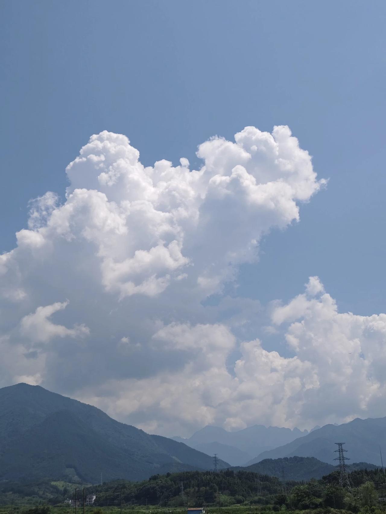 宠辱不惊，看庭前花开花落；
去留无意，望天上云卷云舒。