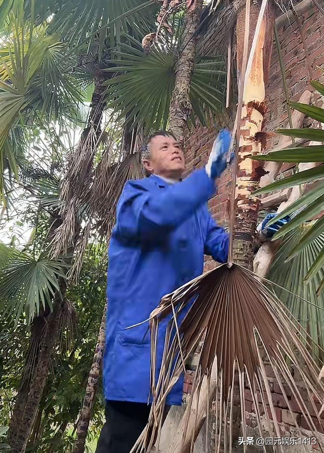 梁志辉现在找到了，梁志辉的爸爸干什么活都非常有力气。
     梁志辉刚找到的时