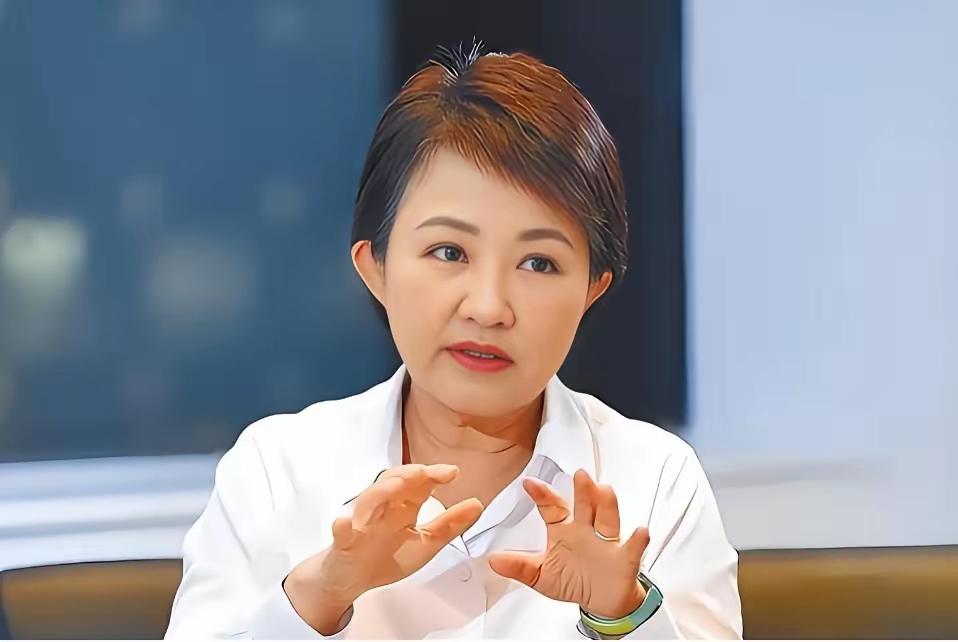 国民党内讧再次升级，卢秀燕联合赵少康放出狠话，哪怕 2028 大选彻底崩盘，也要