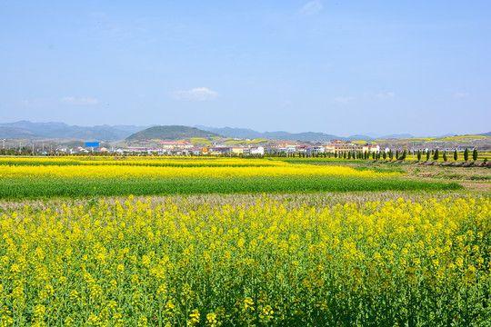 春风是有颜色的。当它从南边来，拂过山岗，掠过田野，那颜色便一层层地洇染开——先是