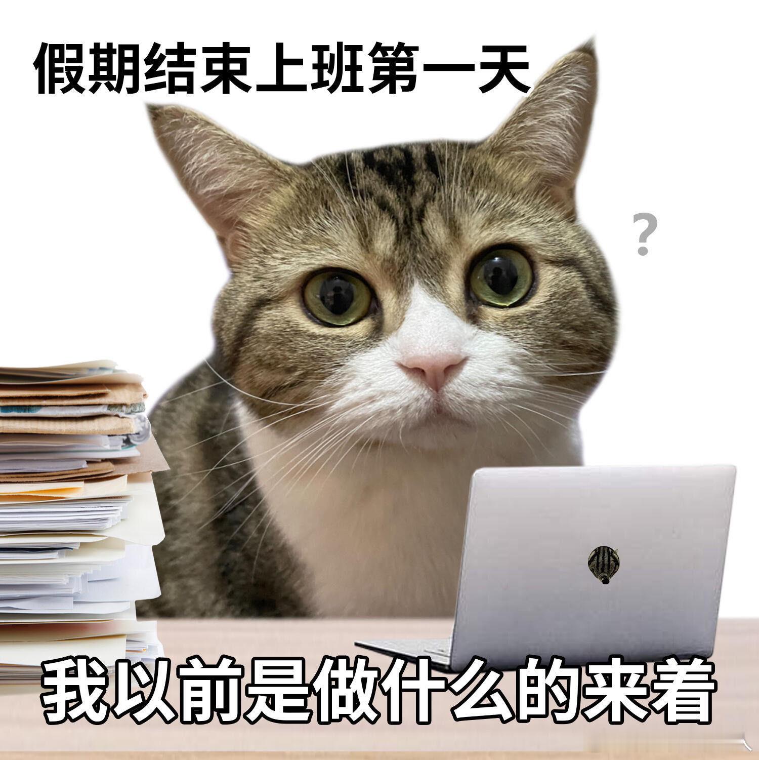 假期后劲太大了已经顶不住了，在工位坐了一个小时了，还没开电脑，上了三次厕所，接了