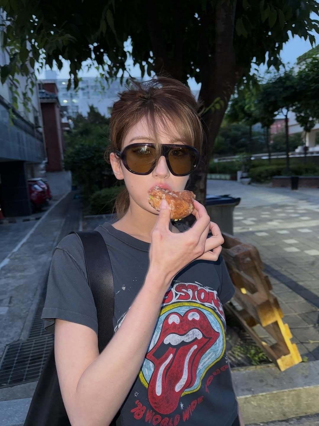somi ins 