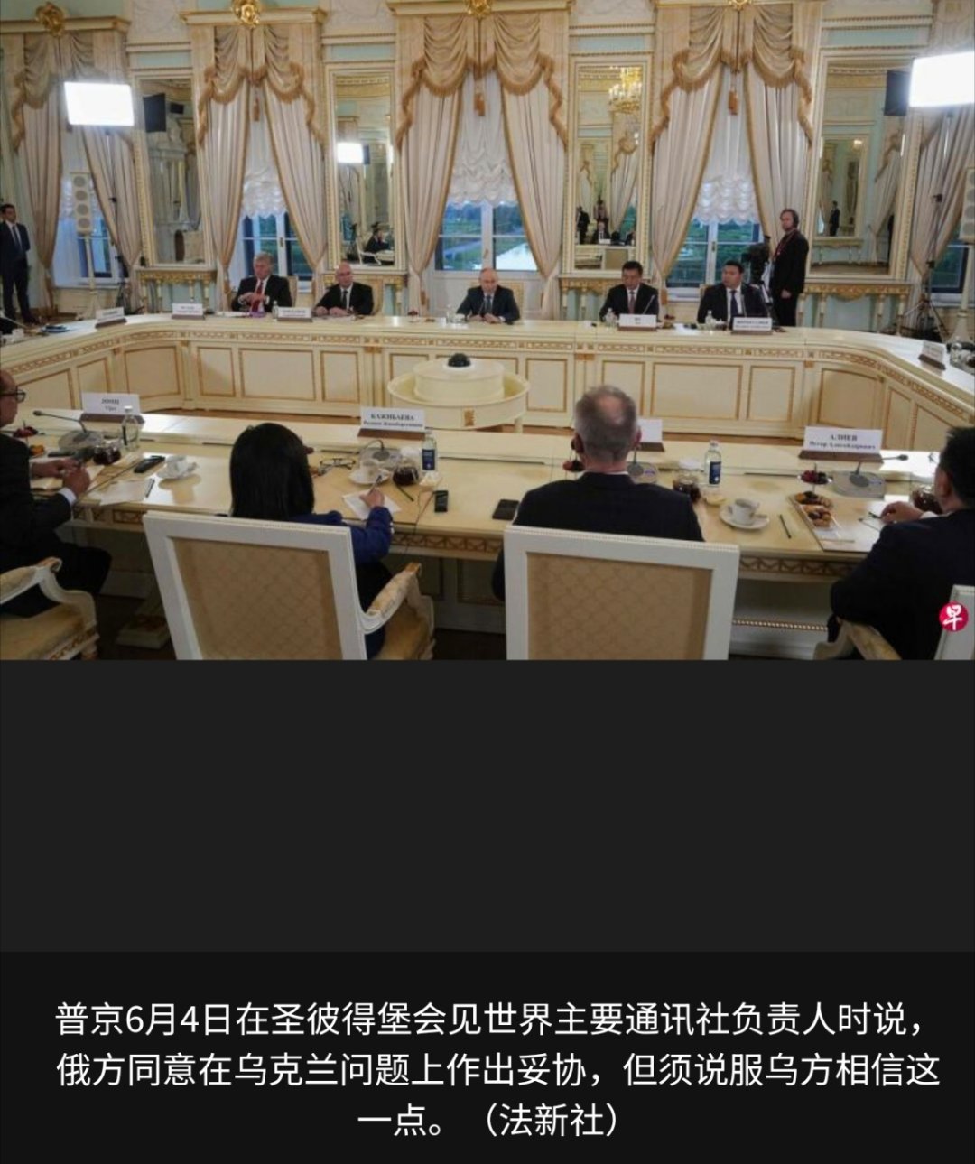 普京称俄方同意妥协俄罗斯总统明确拒绝由欧洲领导人担任俄罗斯和乌克兰的调解方，并坚