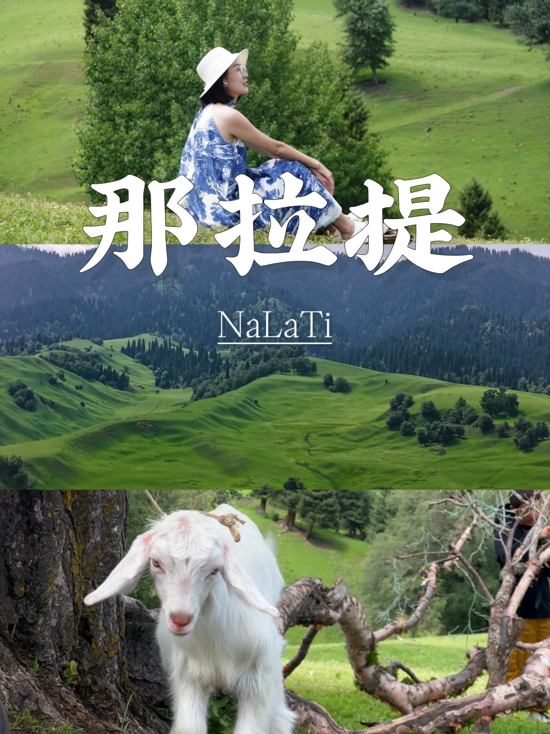 🫧🍃那拉提 人就应该呆在没有天花板的地方
