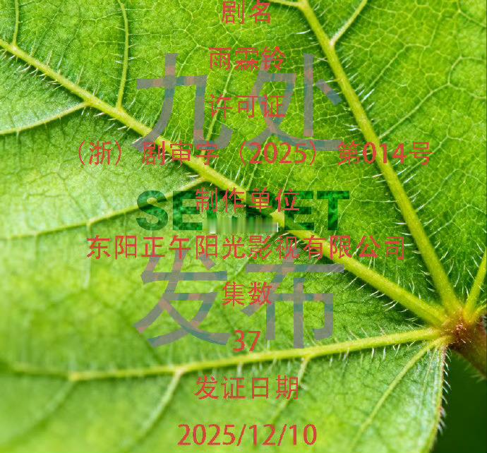 啊啊啊啊杨洋雨霖铃下证了，我的展昭