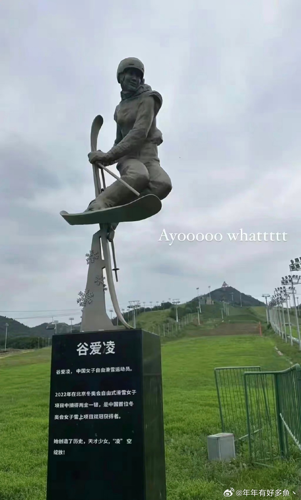 19岁的谷爱凌就有了自己的个人雕像，真是人生赢家，太优秀 