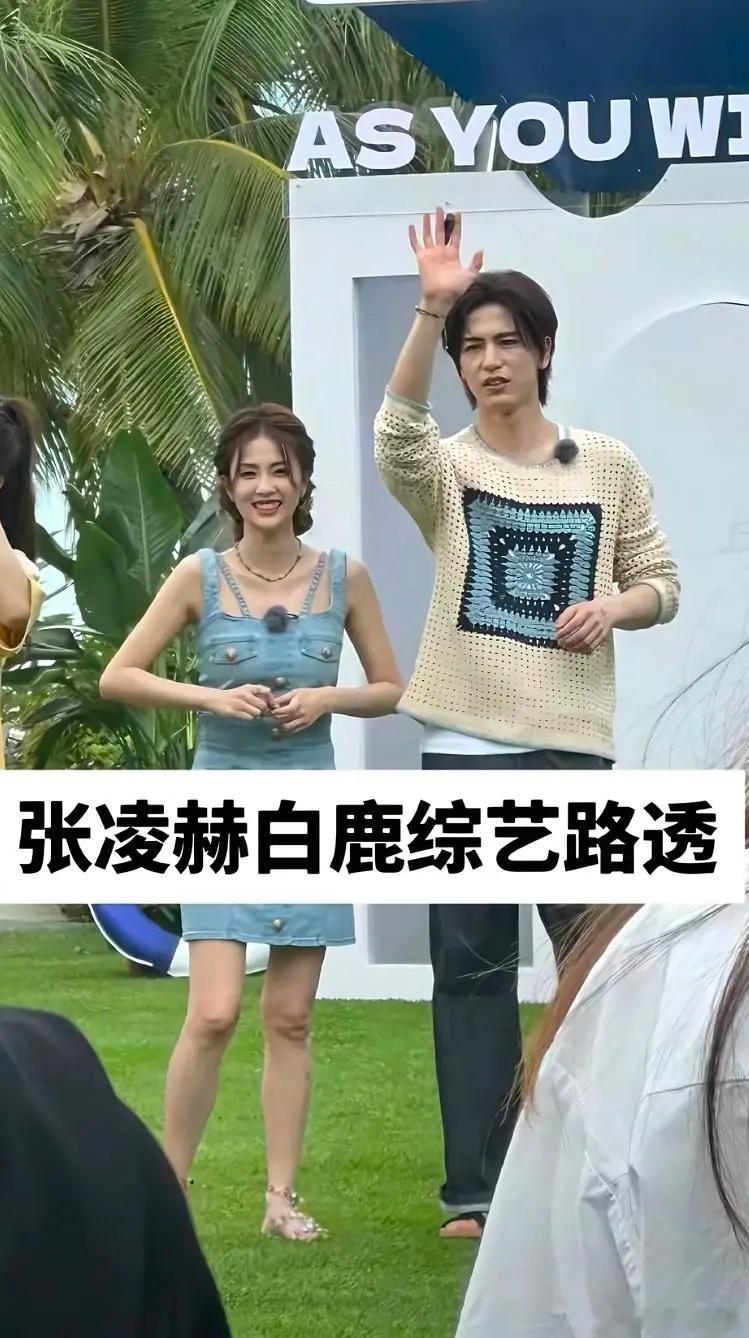 张凌赫非公开活动走出商场鞠躬感谢张凌赫和白鹿原来还拍过综艺吗 