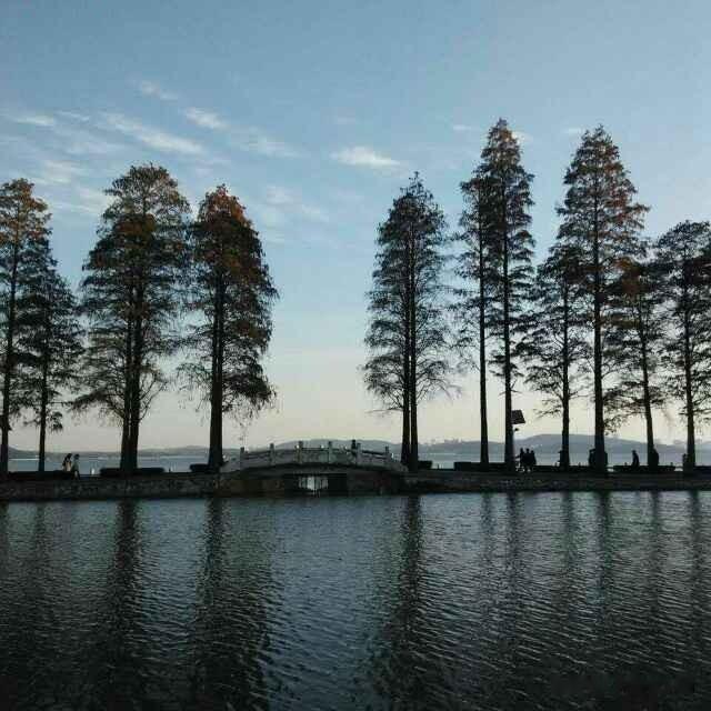 晒图笔记大赛当我在记忆的长廊里漫步，每一次驻足都不是感伤，而是与旧日那个勇敢、纯