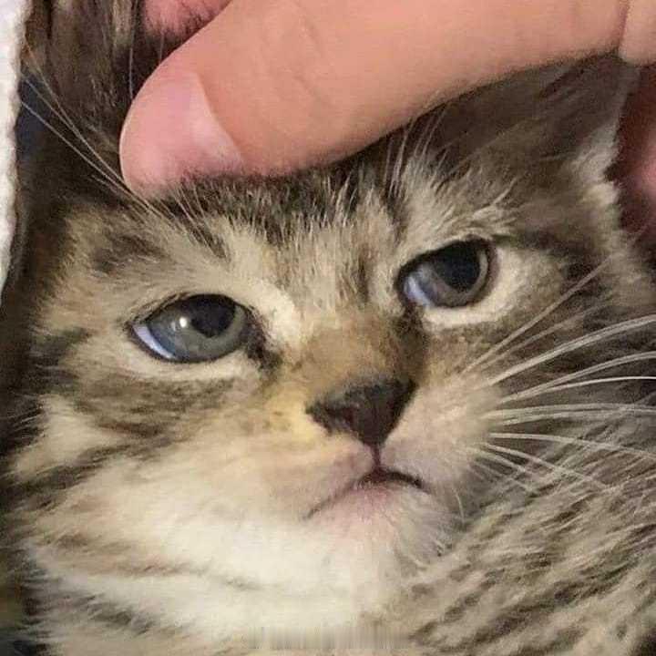 “所以，我没有圣诞礼物是吗？” 