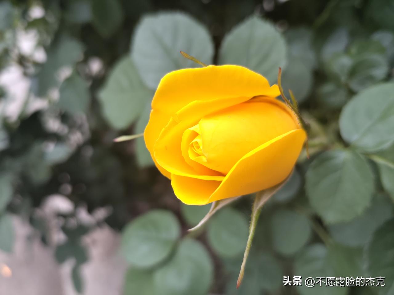 教育反思录（773）
算了一笔账
一年365天
100年36500天
如果
一个