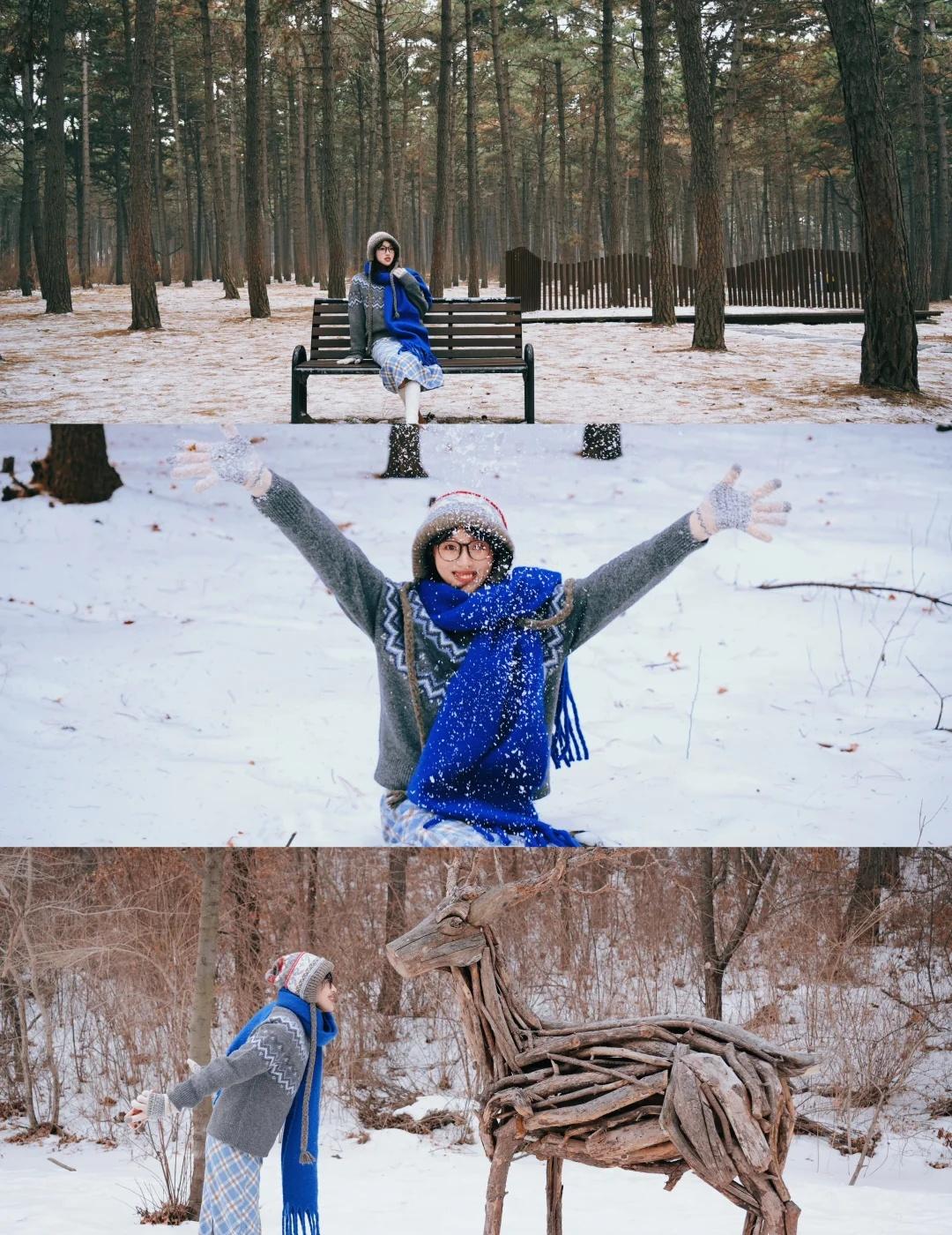 长春 City Walk｜净月潭森林公园（很Chill
抄了行走的调色盘童鞋的作