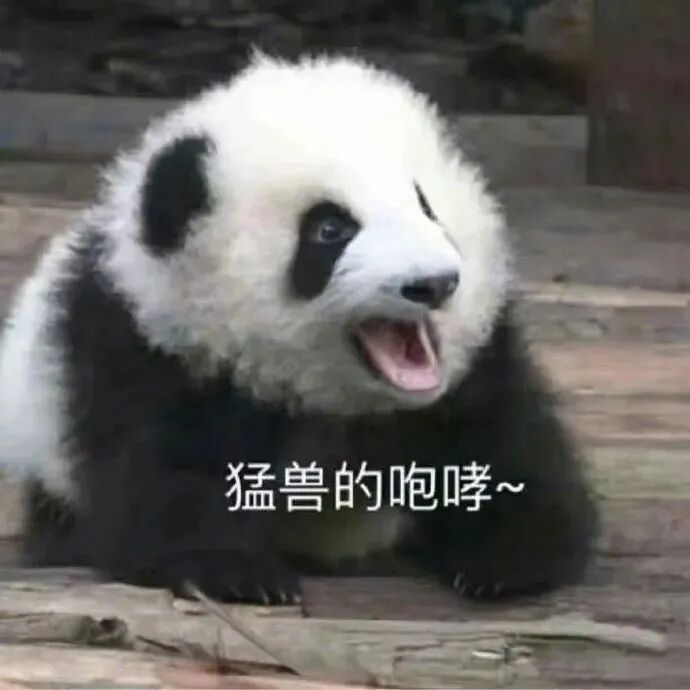 聊天必备表情包 