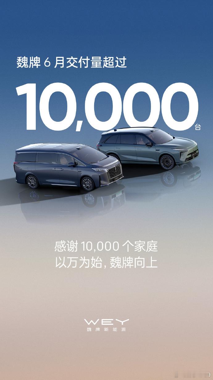 第一波6月战报，魏牌和岚图销量破万 ​​​