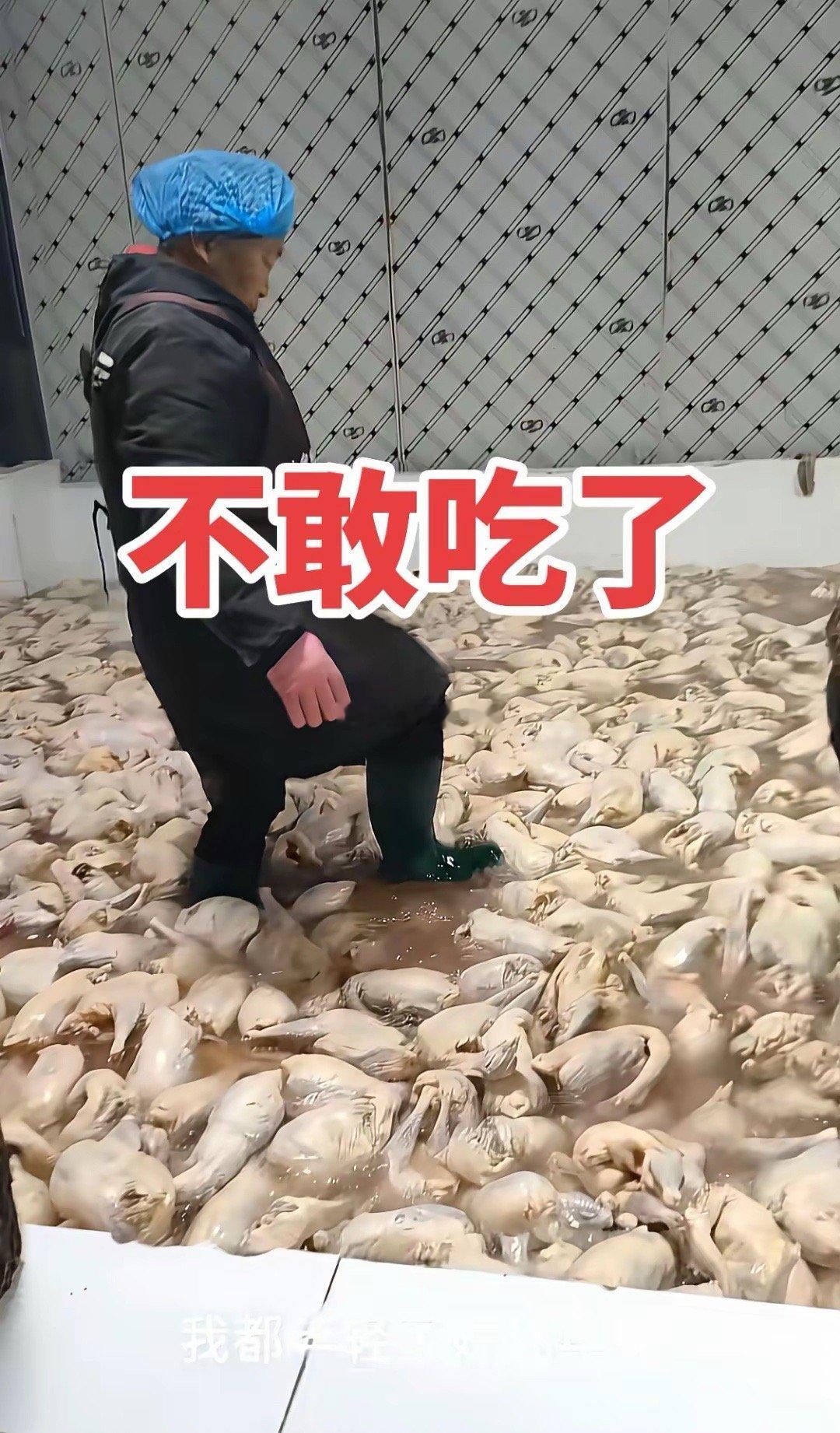 真的不敢吃了，不看不知道，一看吓一跳食品安全