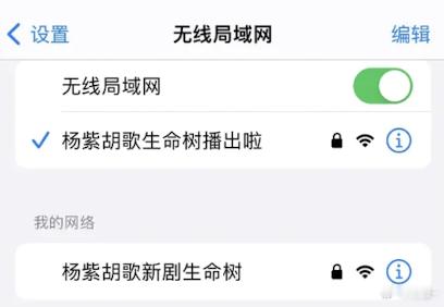 杨紫粉丝剧宣真的无所不用，太努力了我想不到的方式 