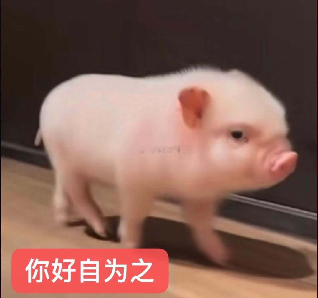 你们刷到那个青岛男的一直说人家小姑娘违规拍照没看的我手好痒 
