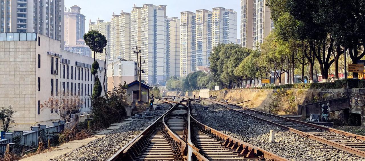 午后阳光下的铁道风景 [太阳]🚆（拍摄于2024年12月31日12:33-广元