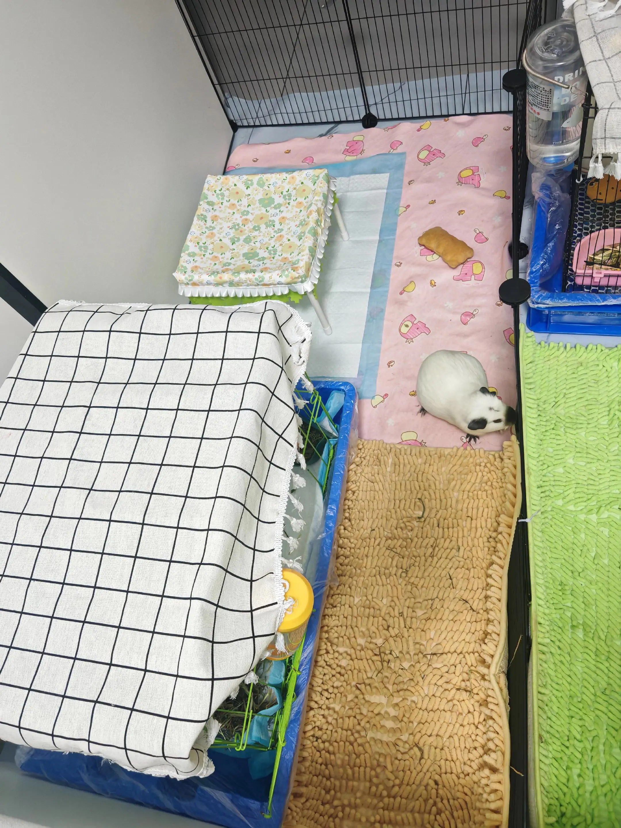 安心待产吧，小家伙