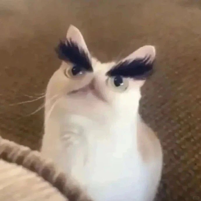 猫，抽象微丑 ​​​