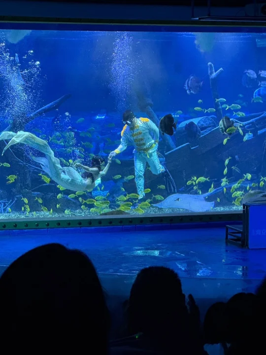 遛娃圣地！！打卡东莞坠美海洋馆🌊