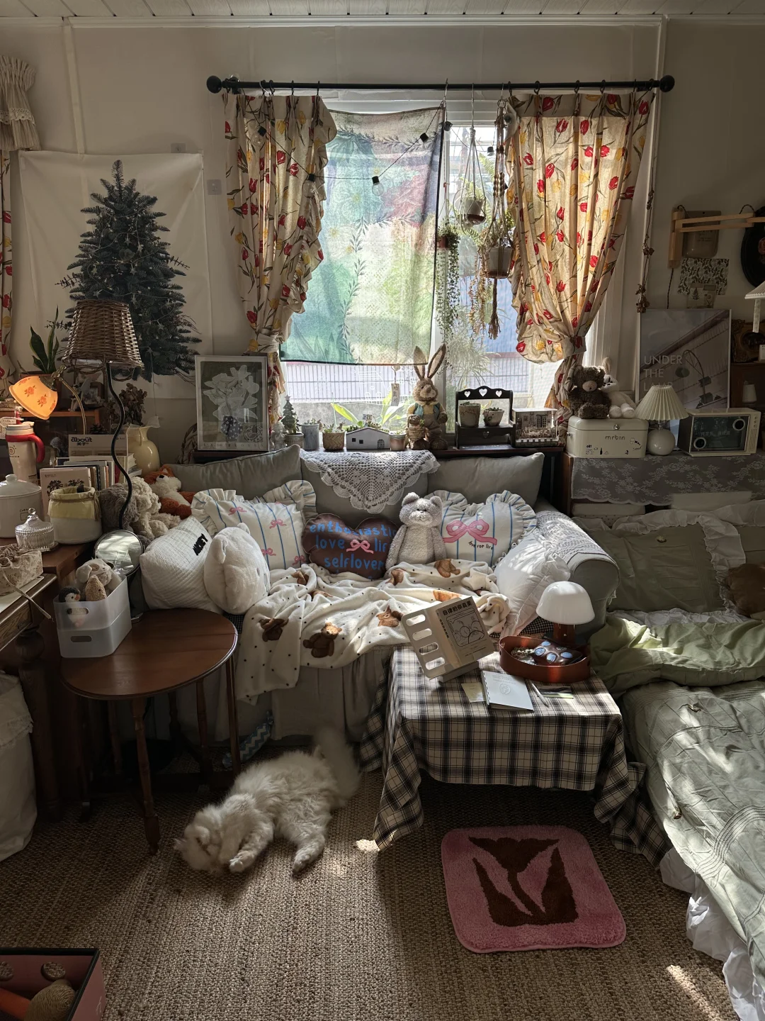 一人一猫的森系小屋宅家日常🌳🌷𐙚‧˚₊