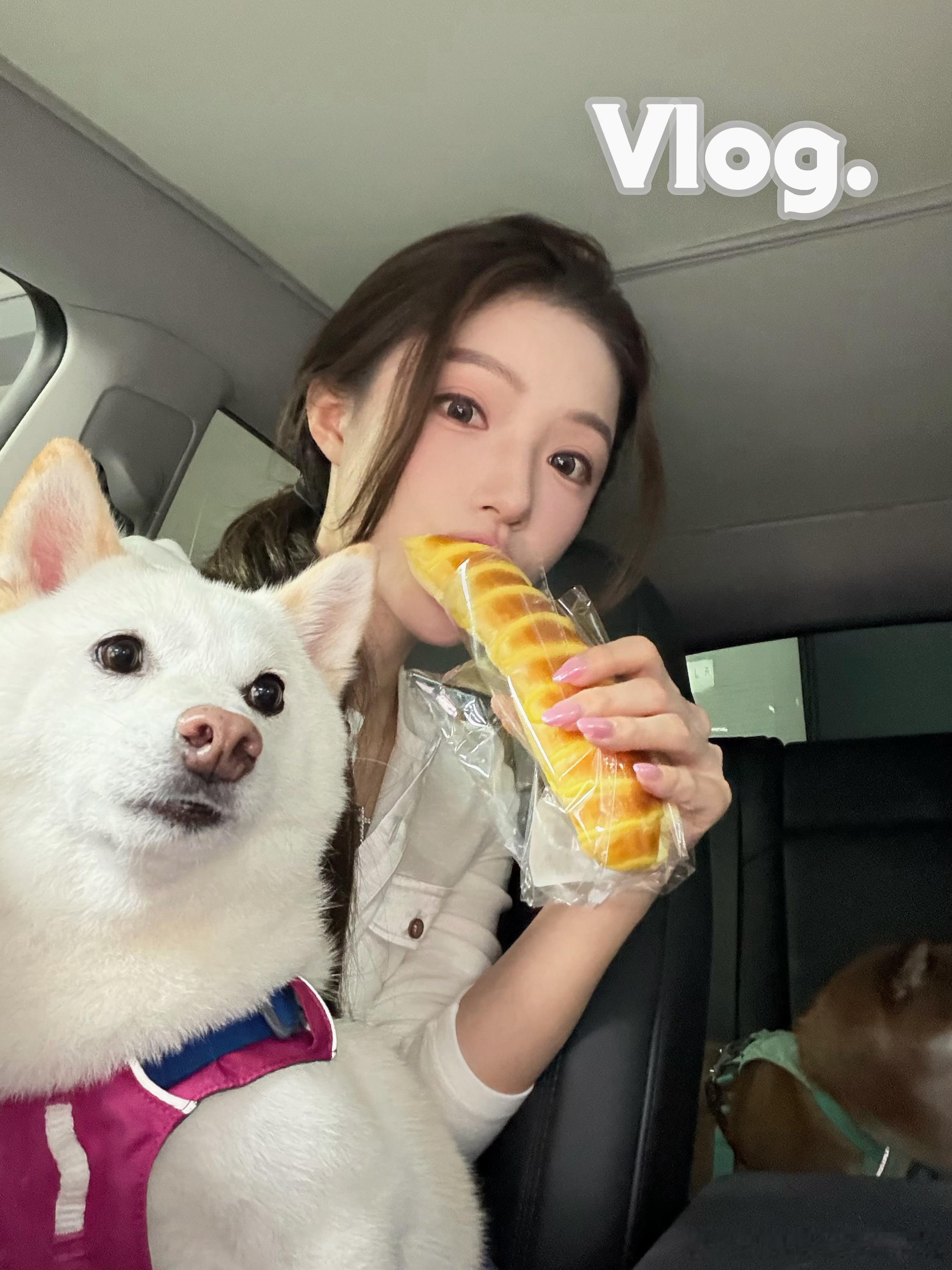 发布一则竖屏vlog每天都在纠结横的竖的横的竖的横的竖的 算了不纠结了 拍啥你们