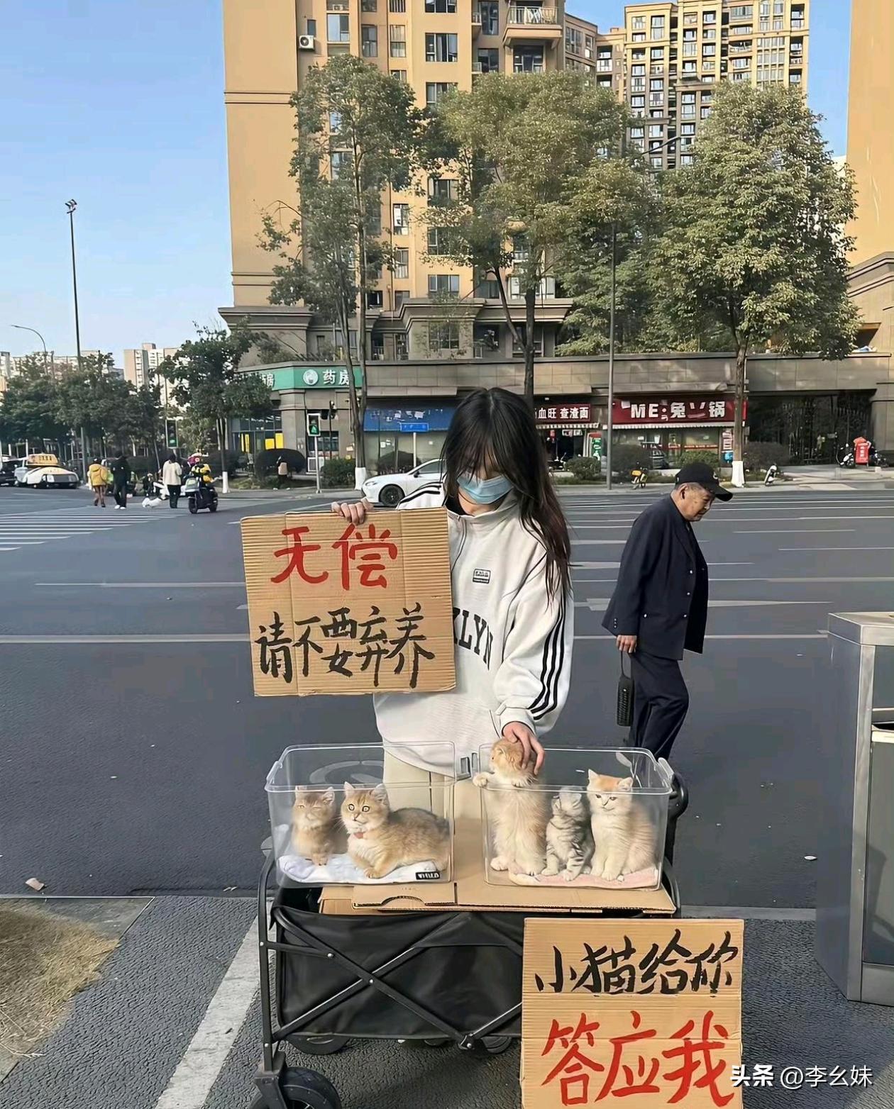 这种是套路吗？