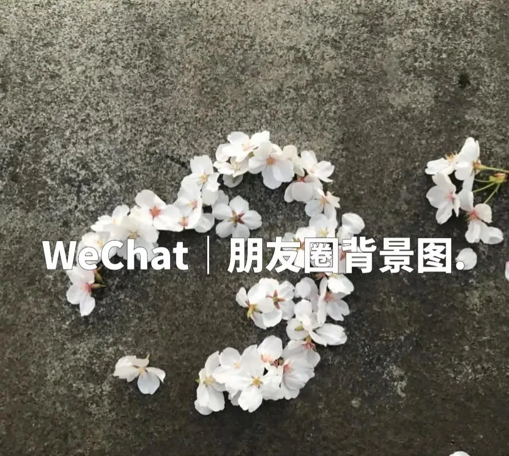 背景图。搜索🔍 “仙图君” 输入口令 “cj0227” 🤟取原图喔~