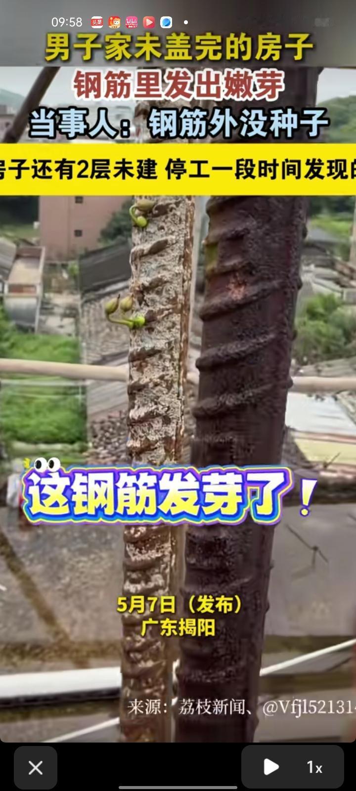 5月6日，揭阳普宁市。网友发视频称，自家未盖完的房子钢筋里长出嫩芽，钢筋外面没有