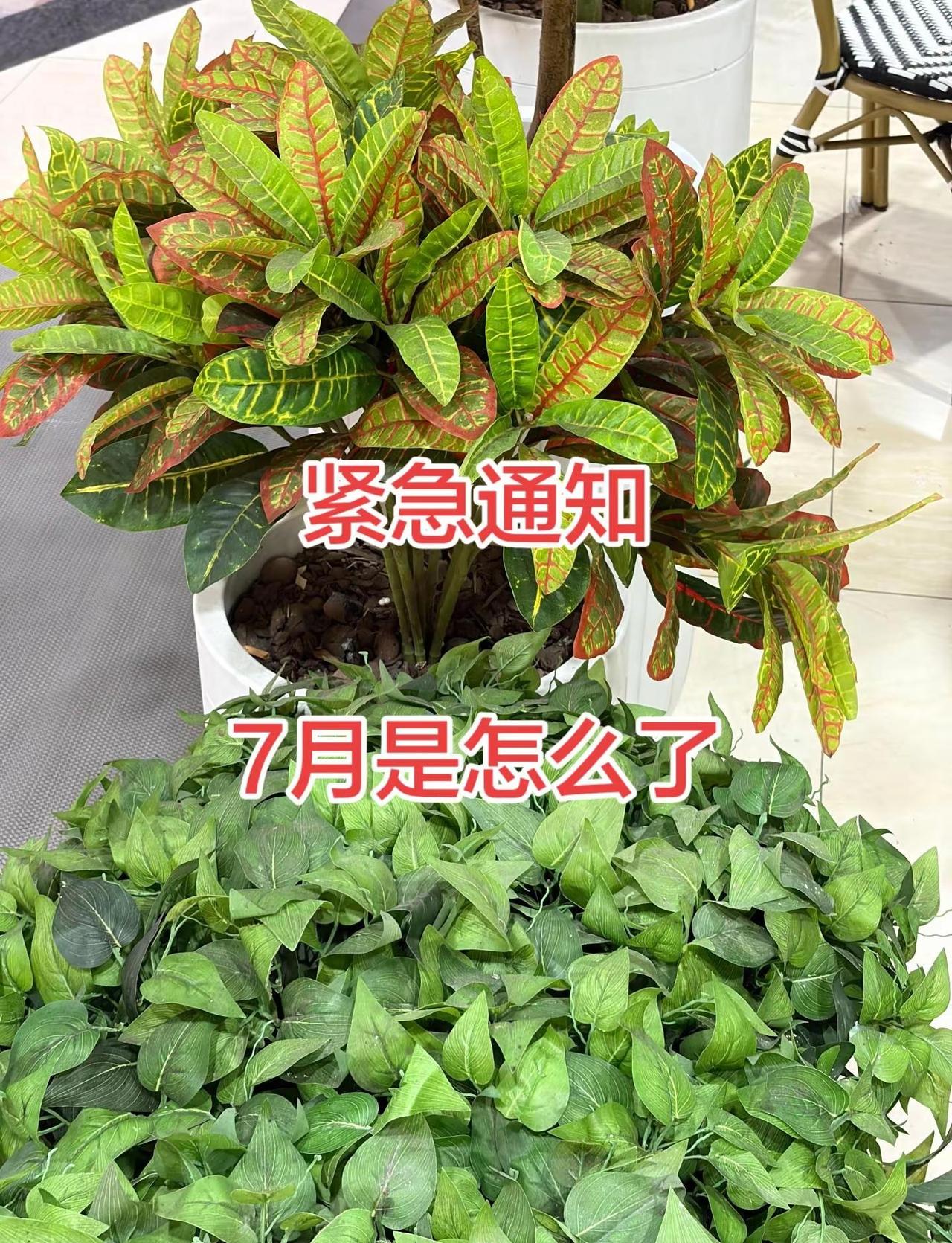 中国女团在士兵赛上1-2落幕时绝境翻盘！孙颖莎连拿两分稳住局势，在决胜局完成救赎